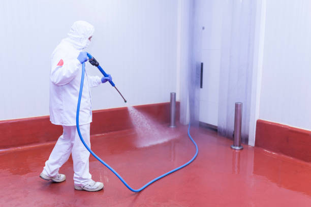 Best Warehouse Cleaning  in St Robert, MO