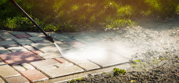 Best Fence Cleaning  in St Robert, MO